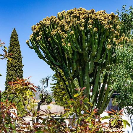 Alhaurín de la Torre The Palms Boutique Resort Malaga - Adults Only מראה חיצוני תמונה