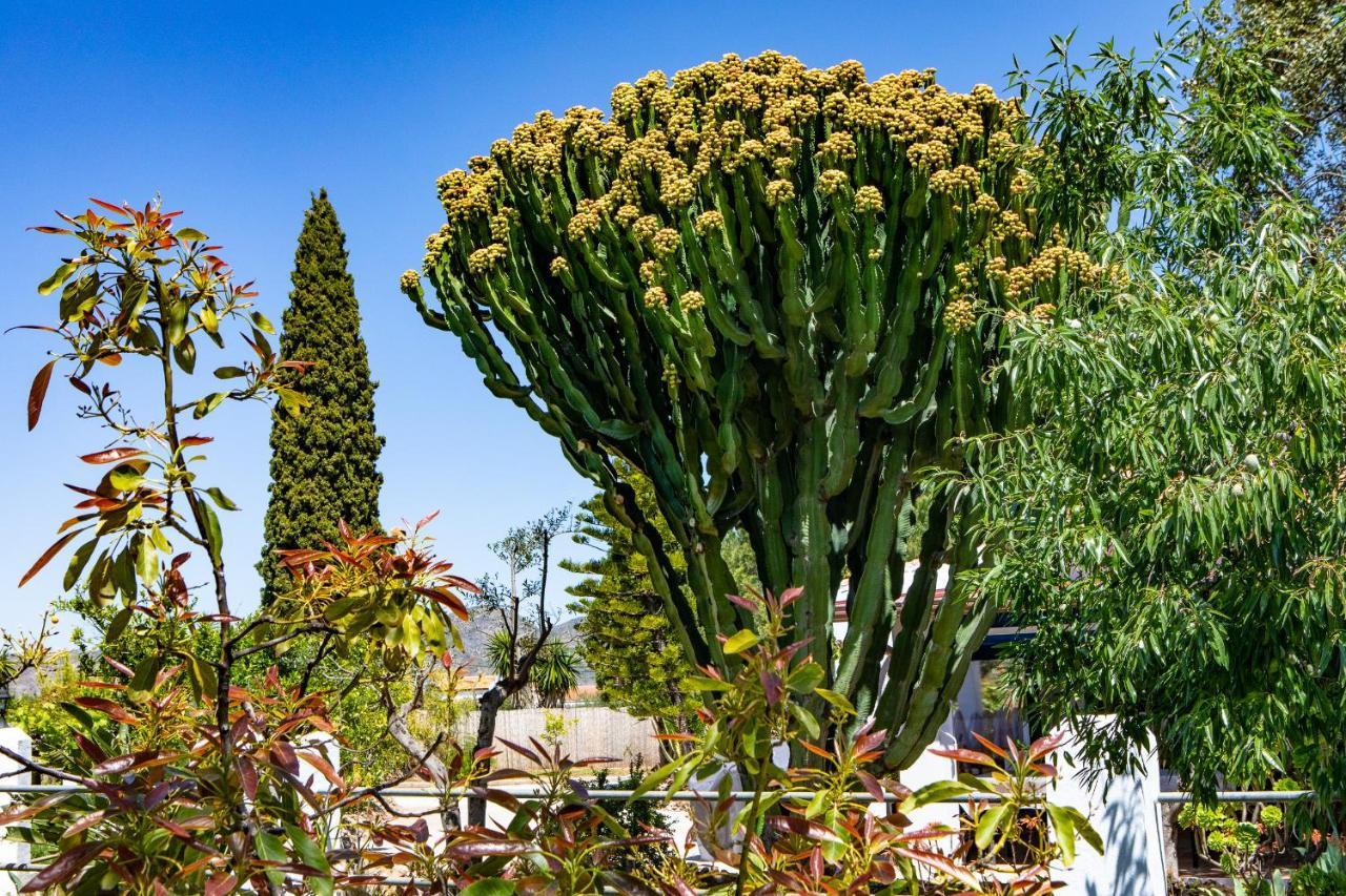 Alhaurín de la Torre The Palms Boutique Resort Malaga - Adults Only מראה חיצוני תמונה