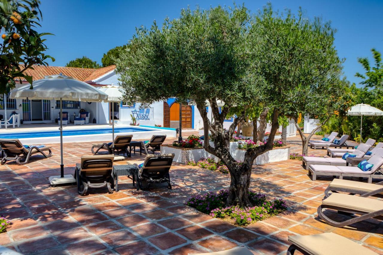 Alhaurín de la Torre The Palms Boutique Resort Malaga - Adults Only מראה חיצוני תמונה